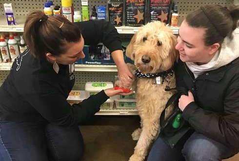 West Virginia s Largest Family Owned Pet Store is Bridgeport s